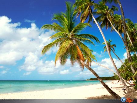 Qui vient avec moi ?